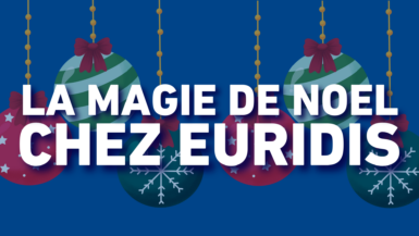 La magie de Noël s’installe chez Euridis Business School ! 🎅